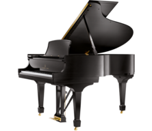 Grand Pianos