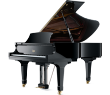 Concert Grand