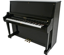 Institutional Upright