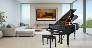 Steinway Clearance!
