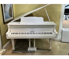 Roland GP609 White Polish