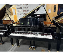 Yamaha GP1 Ebony Polish