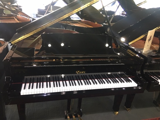 Essex EGP161 Ebony (SOLD)