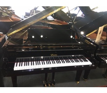 Essex EGP161 Ebony (SOLD)