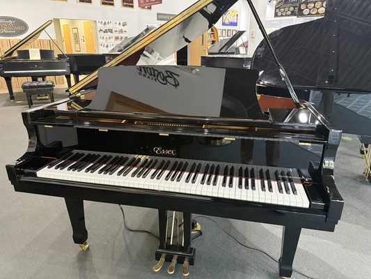 Essex EGP155 Player Grand